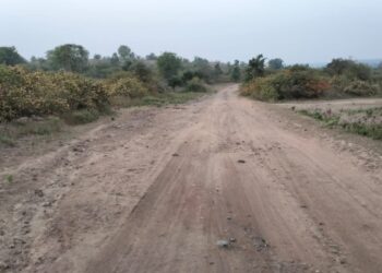हरताळा ते आमदगाव वन हद्दीतील रस्त्याला वनपरिक्षेत्र अधिकाऱ्यांच अर्थपूर्ण दुर्लक्ष