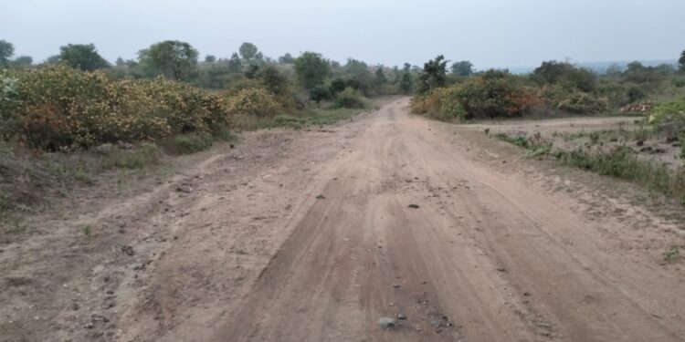 हरताळा ते आमदगाव वन हद्दीतील रस्त्याला वनपरिक्षेत्र अधिकाऱ्यांच अर्थपूर्ण दुर्लक्ष