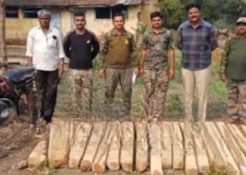 रात्रीची वेळ, दुचाकीवर अवैध साग वाहतूक करायचा; अज्ञाताची करामत पाहून वनविभाग पथकही चक्रावले