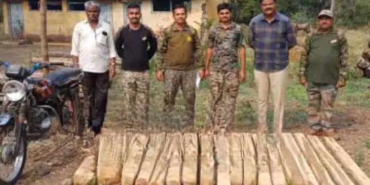 रात्रीची वेळ, दुचाकीवर अवैध साग वाहतूक करायचा; अज्ञाताची करामत पाहून वनविभाग पथकही चक्रावले