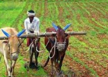 अर्थसंकल्पात उघडणार शेतकऱ्यांसाठी ‘निधी पेटी’, जाणून घ्या सविस्तर