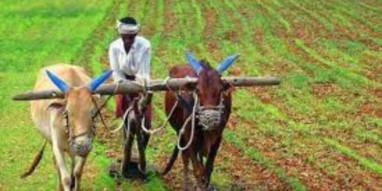 अर्थसंकल्पात उघडणार शेतकऱ्यांसाठी ‘निधी पेटी’, जाणून घ्या सविस्तर