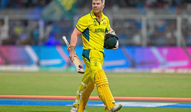 शेवटच्या कसोटीत डेव्हिड वॉर्नरने केली चूक, हुकली मोठी संधी