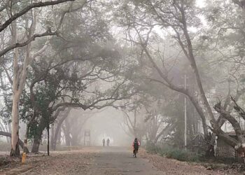 नागरिकांनो, राज्यात थंडीची लाट वाढणार !