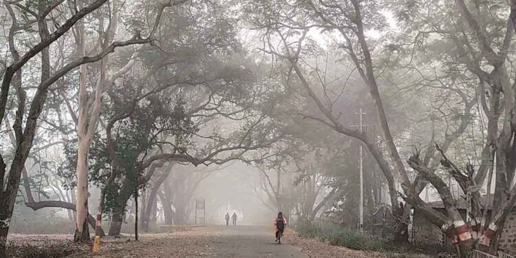 नागरिकांनो, राज्यात थंडीची लाट वाढणार !