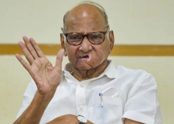 शरद पवारांचं निकालावर भाष्य; म्हणाले “ठाकरेंनी सुप्रीम कोर्टात जावं”