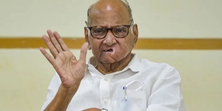 शरद पवारांचं निकालावर भाष्य; म्हणाले “ठाकरेंनी सुप्रीम कोर्टात जावं”