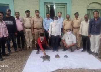 वन्यप्राण्यांची तस्करी करणारे तीन जणांना वनविभागाच्या पथकाने ठोकल्या बेड्या