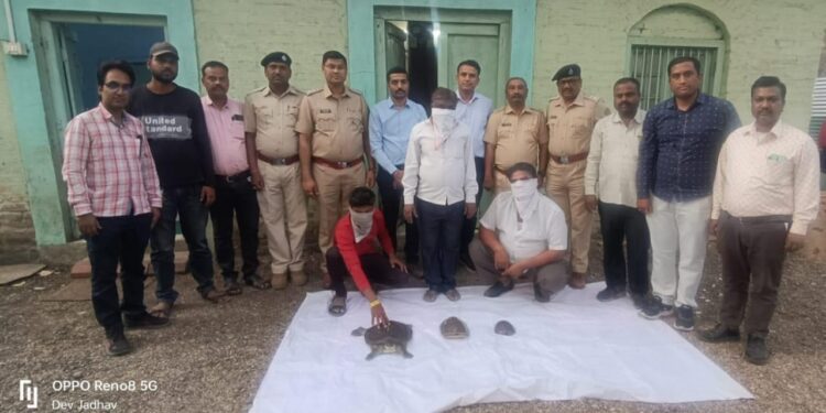 वन्यप्राण्यांची तस्करी करणारे तीन जणांना वनविभागाच्या पथकाने ठोकल्या बेड्या