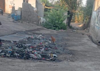 जामनेर तालुक्यातील वाघारी येथे घाणीचे साम्राज्य ; ग्रामपंचायतीचेदुर्लक्ष