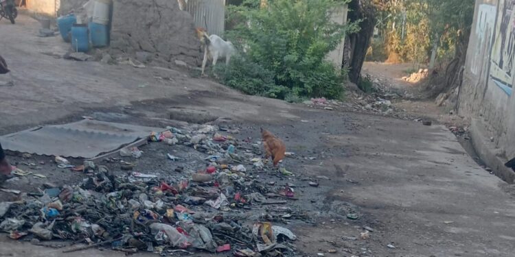 जामनेर तालुक्यातील वाघारी येथे घाणीचे साम्राज्य ; ग्रामपंचायतीचेदुर्लक्ष