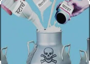 जिल्ह्यसह पाचोरा तालुक्यातील दुध भेसळीच्या गोरखधंद्यावर कारवाई होईल का, सुज्ञ नागरिक सर्वसामान्य जनतेच्या मनातील प्रश्न