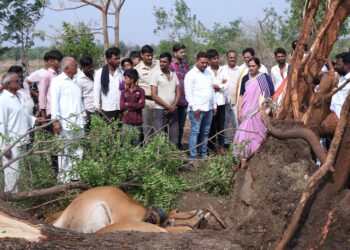 आचारसंहिता शिथिल करून वादळी वारा आणि पावसाने झालेल्या नुकसानीची तात्काळ नुकसान भरपाई द्या – रोहिणी खडसे