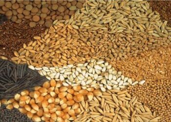 जिल्हयातील शेतकऱ्यांना बियाणे, खते, वाजवी दरात मिळत नसेल तर ‘या’ नंबरवर करा तक्रार