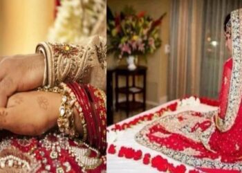 दिल्लीत नोकरानी मिळत नाही म्हणून पत्नीनेचं पतीचं दुसरं लग्न लावून दिलं ; धक्कादायक घटना