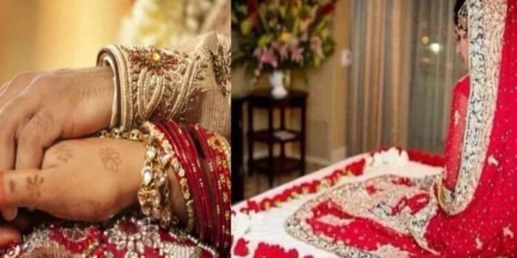 दिल्लीत नोकरानी मिळत नाही म्हणून पत्नीनेचं पतीचं दुसरं लग्न लावून दिलं ; धक्कादायक घटना