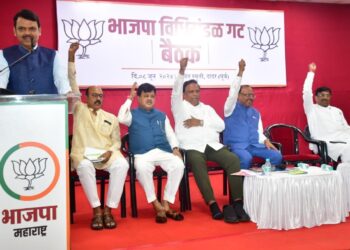 विधानसभेत महायुतीचा झेंडा फडकेपर्यंत थांबणार नाही