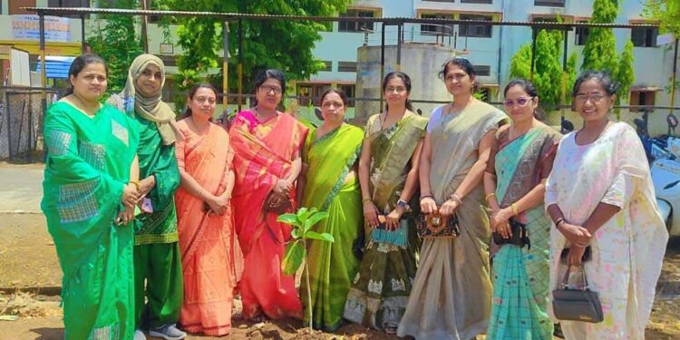 एम. एम. महाविद्यालयात जागतिक पर्यावरण दिनानिमित्त वृक्षारोपण व पर्यावरण जनजागृती