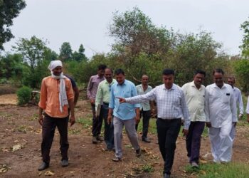 वादळी पावसाने पाचोरा तालुक्यता झालेल्या नुकसानीचे अमोल शिंदे यांनी केली पाहणी