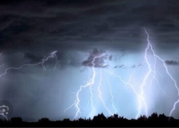 येत्या २४ तासात ‘या’ जिल्ह्यांमध्ये पावसाचा जोर