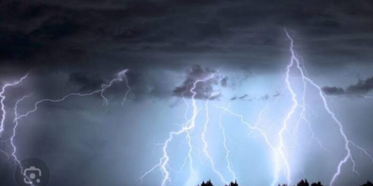 येत्या २४ तासात ‘या’ जिल्ह्यांमध्ये पावसाचा जोर