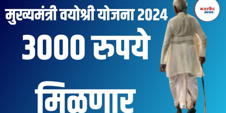 योजना ; जेष्ठ नागरिकांना मिळणार ३ हजार रुपये !