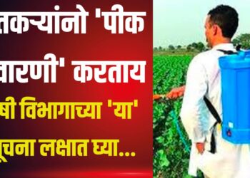 शेतकऱ्यांनो पीक फवारणी करताय… कृषी विभागाने दिलेल्या ‘या’ सूचना लक्षात घ्या