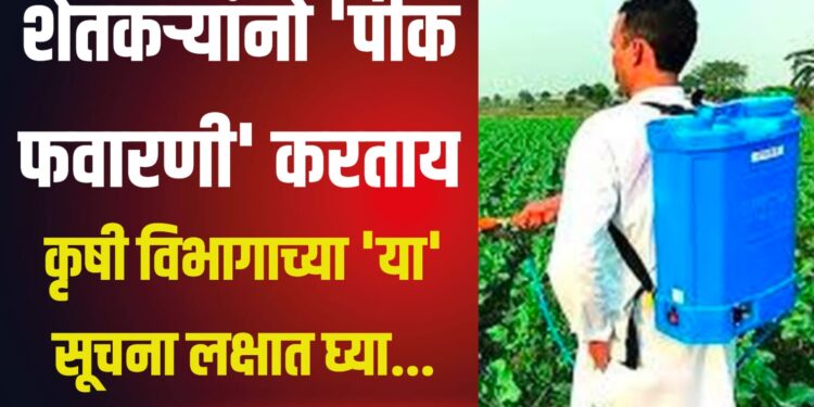 शेतकऱ्यांनो पीक फवारणी करताय… कृषी विभागाने दिलेल्या ‘या’ सूचना लक्षात घ्या