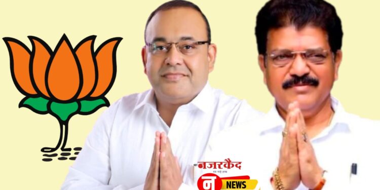 विधानसभा निवडणुक ; पक्षानं संधी दिल्यास सोनं करेल – रोहित निकम