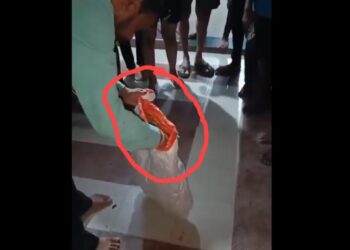 रेस्क्यू करतांना कोब्राचा सर्पमित्राला दंश केल्याने दुर्दैवी मृत्यू ; घटना कॅमेऱ्यात कैद