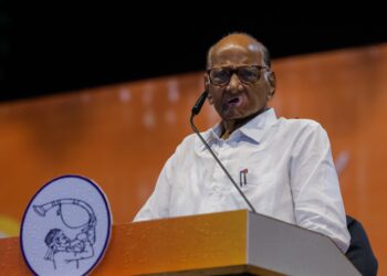 विधानसभा निवडणूक ; राज्यात शरद पवारांची खरंच लाट आहे का?