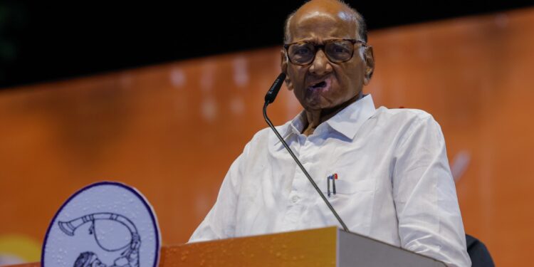 विधानसभा निवडणूक ; राज्यात शरद पवारांची खरंच लाट आहे का?