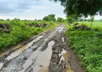 लोहारा -ऋषिदेव रस्ता केव्हा दुरुस्ती करणार? अनेक वर्षांपासून शेतकऱ्यांची मागणी