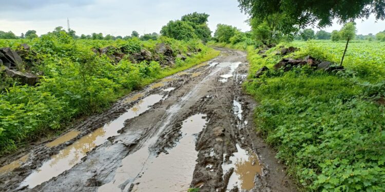 लोहारा -ऋषिदेव रस्ता केव्हा दुरुस्ती करणार? अनेक वर्षांपासून शेतकऱ्यांची मागणी