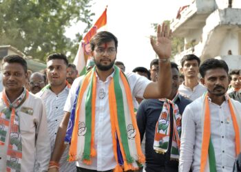 महाविकास आघाडीचे उमेदवार धनंजय चौधरी यांचा झंझावात प्रचार