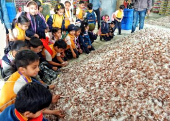 जी. एच. रायसोनी पब्लिक स्कूलच्या चिमुकल्यांनी अनुभवली “जेली फॅक्टरीची” सफर