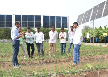 शेतात उभी केलेली पिके, नवनवीन तंत्रज्ञान पाहण्यासाठी कृषी महोत्सवात शेतकऱ्यांनी भेट द्यावी – अजित जैन