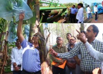 केंद्रीय अर्थसंकल्प 2025-26: जळगाव जिल्ह्यासाठी ठरू शकतो लाभदायक…!!