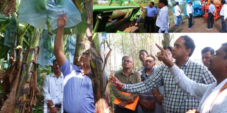 केंद्रीय अर्थसंकल्प 2025-26: जळगाव जिल्ह्यासाठी ठरू शकतो लाभदायक…!!