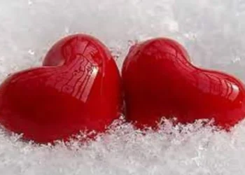 अब्दुलनं ओळख लपवत खोटं नाव सांगून प्रेमाच्या जाळ्यात ओढलं ; लॉज, हॉटेलवर नेत संबंध… प्रियसी, पत्नीने चांगलचं तुडवलं!