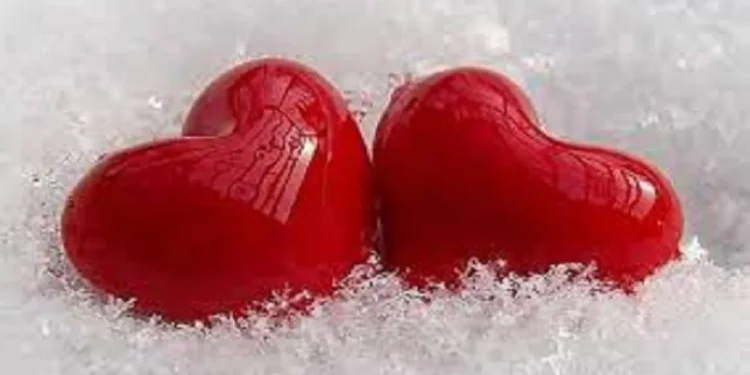 अब्दुलनं ओळख लपवत खोटं नाव सांगून प्रेमाच्या जाळ्यात ओढलं ; लॉज, हॉटेलवर नेत संबंध… प्रियसी, पत्नीने चांगलचं तुडवलं!