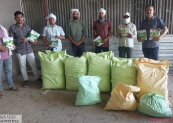 कृषी विभागाच्या भरारी पथकाच्या सतर्कतेने १८ लाखाचे बोगस बियाणे पकडले