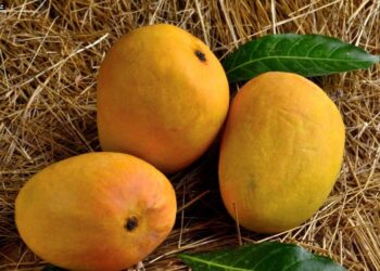 आंबा बाजारातील ग्राहकांची फसवणूक!