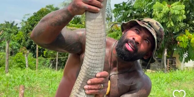 कोब्रा हातात उचलणाऱ्या व्यक्तीचा व्हिडिओ सोशल मीडियावर व्हायरल!