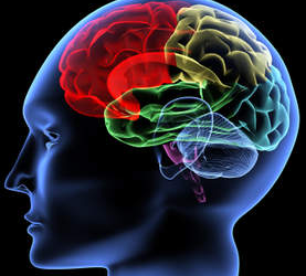 तुमची स्मरणशक्ती कमजोर वाटतेय का? लक्ष एकाग्र होत नाही? तर ‘हे’ तीन मेंदूचे व्यायाम तुमच्यासाठीच आहेत!