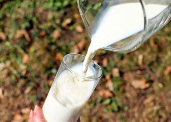 Milk Adulteration in Maharashtra