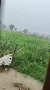 Heavy rain alert in Maharashtra districts July 2025