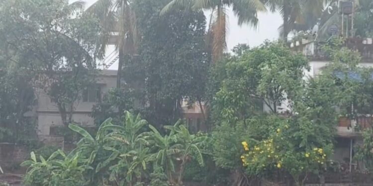 Jalgaon Weather Alert - Heatwave and Rain Break July 2025