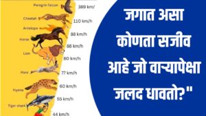 Fastest Animal on Earth ; जगात असा कोणता प्राणी आहे जो वाऱ्यापेक्षा जलद धावतो?"