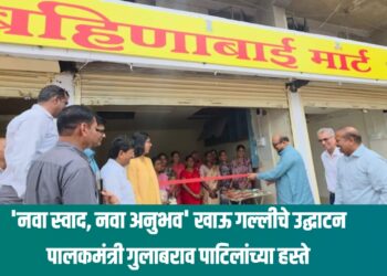 Bahinabai Mart Jalgaon जळगावमध्ये पालकमंत्री गुलाबराव पाटील यांच्या हस्ते 'बहिणाबाई मार्ट'चे उद्घाटन